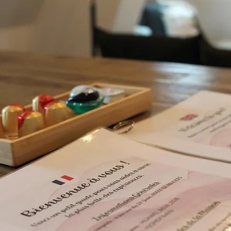 T3 Hypercentre - Navette Aeroport A 2 Pas דירה